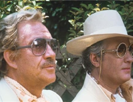 IL VIZIETTO