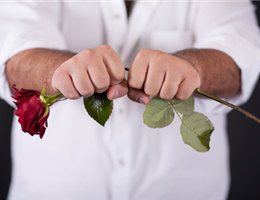 Il fiore non meritato